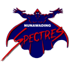  纽纳瓦丁电光女篮 logo
