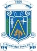 纽布里奇城 