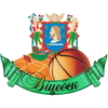  努伯二队 logo
