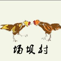  场坝村足球队