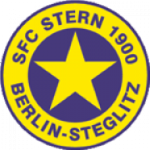 斯坦恩   logo