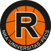 佩奇大学   logo