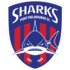  墨尔本港鲨鱼U23