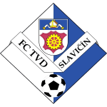 斯拉维钦TVD   logo