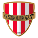  布罗萨尼 logo
