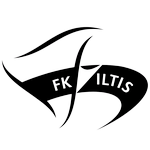 维迪斯维尔纽斯   logo