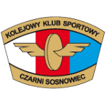  索斯诺维茨女足 logo