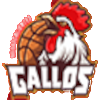 加洛斯阿瓜斯卡连特斯   logo