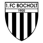  博霍尔特 logo