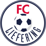 阿尼夫FC   logo