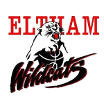  埃尔特姆野猫 logo