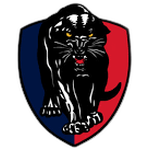 南阿德莱德黑豹   logo