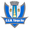 CSM特尔古久 