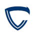  中京大學(xué)二隊(duì)