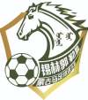 锡林郭勒盟蒙古马U13