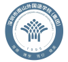 深圳南外文华U13