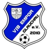  VfB格劳豪帝...