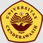 森德瓦西大学队 