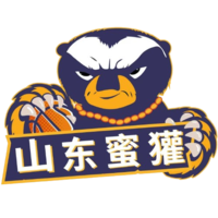  山东蜜獾