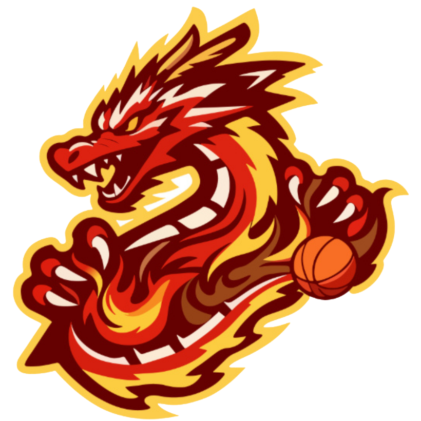  贵州猛龙