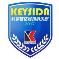  深圳科宇盛达