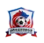  山西龙盛