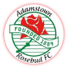  亚登斯顿玫瑰花蕾后备队 logo