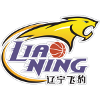 辽宁飞豹二队