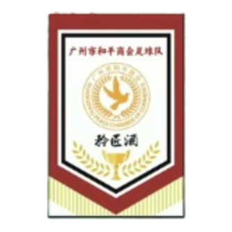  广东和平赛区冠...