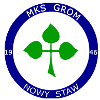格罗姆新斯塔夫   logo