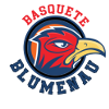  布卢梅瑙女篮 logo